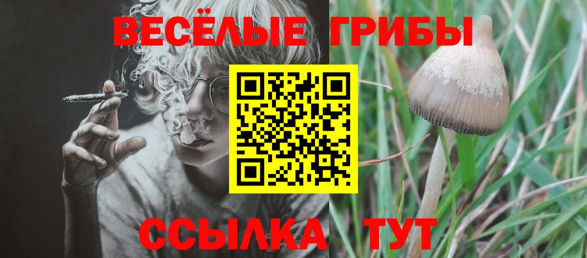 Псилоцибиновые грибы Magic Shrooms Ливны